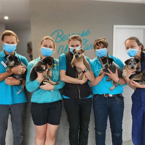 berwick vet|mansfield emergency vet.